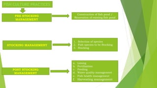 FISH CULTURE PRACTICES
PRE STOCKING
MANAGEMENT
STOCKING MANAGEMENT
POST STOCKING
MANAGEMENT
Construction of fish pond /
Renovation of existing fish pond
1. Selection of species
2. Fish species to be Stocking
3. Stocking
a. Liming
b. Fertilization
c. Feeding
d. Water quality management
e. Fish health management
f. Harvesting management
 