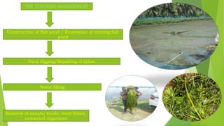 PRE STOCKING MANAGEMENT
Pond digging/Repairing of dykes
Construction of fish pond / Renovation of existing fish
pond
Water filling
Removal of aquatic weeds, weed fishes,
unwanted organisms
 