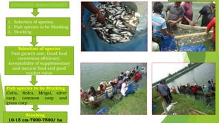 STOCKING MANAGEMENT
1. Selection of species
2. Fish species to be Stocking
3. Stocking
Selection of species
Fast growth rate, Good food
conversion efficiency,
Acceptability of supplementary
and natural food and good
market value
Fish species to be Stocking
Catla, Rohu, Mrigal, silver
carp, common carp and
grass carp
Stocking
10-15 cm-7000-7500/ ha
 