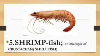 INTRODUCTION TO FISH FARMING AND AQUACULTURE | PPTX
