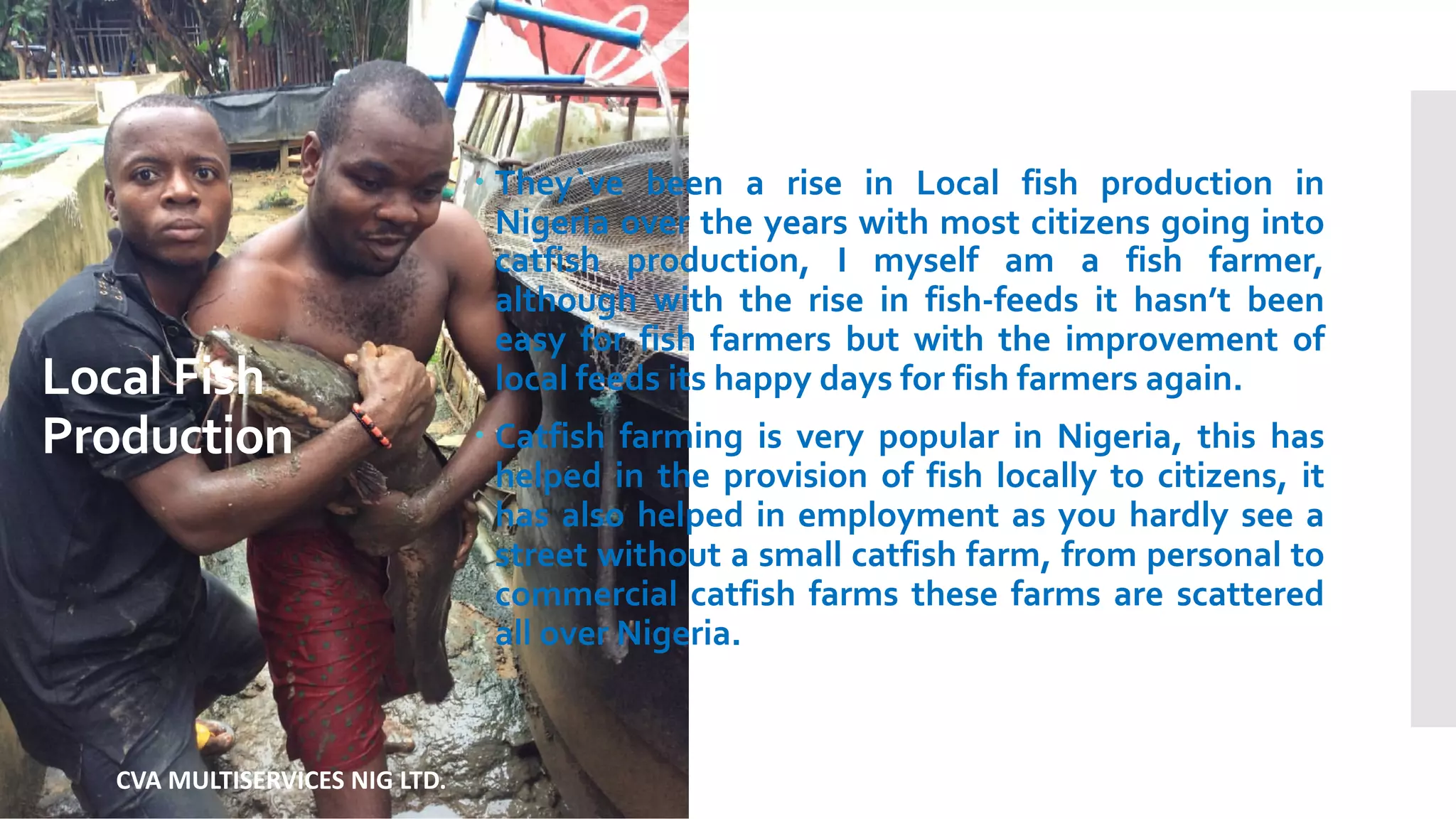 Import fish into Nigeria now and Smile to the Bank | PPT