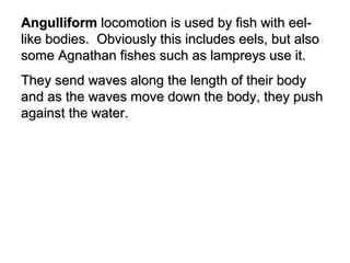 AngulliformAngulliform locomotion is used by fish with eel-locomotion is used by fish with eel-
like bodies. Obviously this includes eels, but alsolike bodies. Obviously this includes eels, but also
some Agnathan fishes such as lampreys use it.some Agnathan fishes such as lampreys use it.
They send waves along the length of their bodyThey send waves along the length of their body
and as the waves move down the body, they pushand as the waves move down the body, they push
against the water.against the water.
 