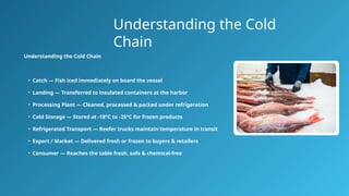 Fish Cold Chain System Natural preservation of fish through different process.pptx