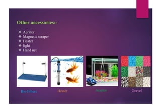 Other accessories:-
 Aerator
 Magnetic scraper
 Heater
 light
 Hand net
Bio Filters Heater Aerator Gravel
 