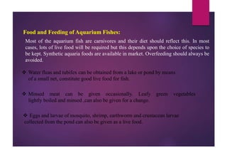 Food and Feeding of Aquarium Fishes:
Most of the aquarium fish are carnivores and their diet should reflect this. In most
cases, lots of live food will be required but this depends upon the choice of species to
be kept. Synthetic aquaria foods are available in market. Overfeeding should always be
avoided.
 Water fleas and tubifex can be obtained from a lake or pond by means
of a small net, constitute good live food for fish.
 Minsed meat can be given occasionally. Leafy green vegetables
lightly boiled and minsed ,can also be given for a change.
 Eggs and larvae of mosquito, shrimp, earthworm and crustacean larvae
collected from the pond can also be given as a live food.
 