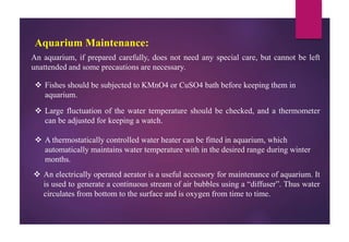 Aquarium Maintenance:
An aquarium, if prepared carefully, does not need any special care, but cannot be left
unattended and some precautions are necessary.
 Fishes should be subjected to KMnO4 or CuSO4 bath before keeping them in
aquarium.
 Large fluctuation of the water temperature should be checked, and a thermometer
can be adjusted for keeping a watch.
 A thermostatically controlled water heater can be fitted in aquarium, which
automatically maintains water temperature with in the desired range during winter
months.
 An electrically operated aerator is a useful accessory for maintenance of aquarium. It
is used to generate a continuous stream of air bubbles using a “diffuser”. Thus water
circulates from bottom to the surface and is oxygen from time to time.
 