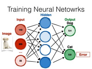 0.6
32
143
Input
255
0.4
Output
Hidden
Image
…
Cat
Dog
Error
Training Neural Netowrks
 