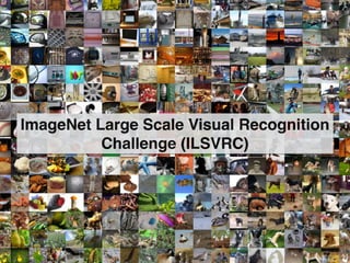 ImageNet Large Scale Visual Recognition
Challenge (ILSVRC)
 