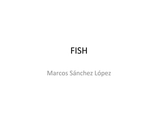 FISH
Marcos Sánchez López