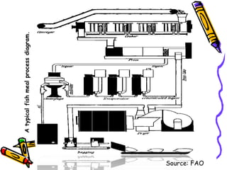 Atypicalfishmealprocessdiagram.
Source: FAO
 