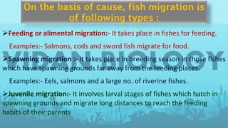 On the basis of cause, fish migration is
of following types :
➢Feeding or alimental migration:- It takes place in fishes for feeding.
Examples:- Salmons, cods and sword fish migrate for food.
➢Spawning migration :- It takes place in breeding season in those fishes
which have spawning grounds far away from the feeding places.
Examples:- Eels, salmons and a large no. of riverine fishes.
➢Juvenile migration:- It involves larval stages of fishes which hatch in
spawning grounds and migrate long distances to reach the feeding
habits of their parents.
 