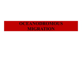 OCEANODROMOUS
MIGRATION
 