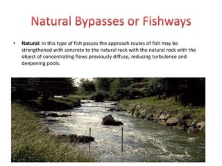 • Natural: In this type of fish passes the approach routes of fish may be
strengthened with concrete to the natural rock with the natural rock with the
object of concentrating flows previously diffuse, reducing turbulence and
deepening pools.
 