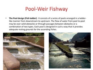 • The Pool design (Fish ladder) : It consists of a series of pools arranged in a ladder-
like manner from downstream to upstream. The flow of water from pool to pool
may be over solid obstacles or through passages between obstacles or a
combination of two types. Each pool is designed in such a way that it provides
adequate resting grounds for the ascending fishes.
 