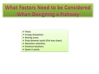  Flows.
 Energy dissipation.
 Resting areas.
 Drop between pools (fish way slope).
 Attraction velocities.
 Entrance locations.
 Space in pools.
 