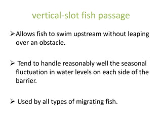 vertical-slot fish passage
Allows fish to swim upstream without leaping
over an obstacle.
 Tend to handle reasonably well the seasonal
fluctuation in water levels on each side of the
barrier.
 Used by all types of migrating fish.
 