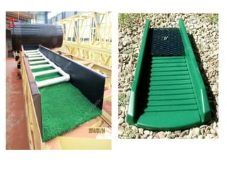 Fish migration and fish passes