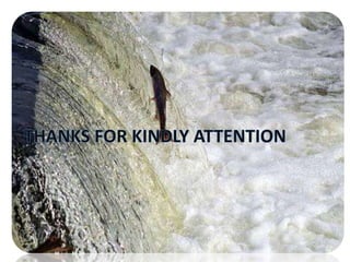 Fish migration and fish passes