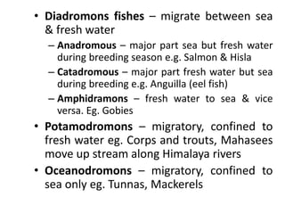 • Diadromons fishes – migrate between sea
& fresh water
– Anadromous – major part sea but fresh water
during breeding season e.g. Salmon & Hisla
– Catadromous – major part fresh water but sea
during breeding e.g. Anguilla (eel fish)
– Amphidramons – fresh water to sea & vice
versa. Eg. Gobies
• Potamodromons – migratory, confined to
fresh water eg. Corps and trouts, Mahasees
move up stream along Himalaya rivers
• Oceanodromons – migratory, confined to
sea only eg. Tunnas, Mackerels
 