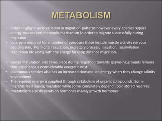 • Fishes display a wide variation in migration patterns however every species require
energy sources and metabolic mechanism in order to migrate successfully during
migration
• energy is required for a number of purposes these include muscle activity nervous
coordination, hormonal regulation, excretory process, ingestion, assimilation
respiration etc along with the energy for long distance migration.
• Gonad maturation also takes place during migration towards spawning grounds females
thus experience a cconsiderable energetic cost.
• diadromous species also has an increased demand on energy when they change salinity
environment.
• The required energy is supplied through catabolism of organic compounds. Some
migrants feed during migration while some completely depend upon stored reserves.
• Metabolism also depends on hormones mainly growth hormones.
 