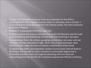  Till date two hormones are found To be very important For the Shift in
Osmoregulation From seawater to Fresh water or vice versa. One is Cortisol, a
Corticosteroid hormone Released from the Adrenal cortex. The other important
hormone is Prolactin
 Prolactin is a requirement for Fresh water life.
 Prolactin, induces the mucous secretion that covers Gill filaments and the body
surface Inhibiting Salt from Going out and water from entering in sea water.
 In anadromous fishes like salmon younglings cannot enter salt water until salt
secreting cells have developed in gills. When returning to freshwater adult
salmon exhibit a slight decrease in osmotic concentration of the blood.
 In catadromous fishes osmoregulation restores normal water and salt balance
like in eels. Eels are able to retain chloride to a remarkable degree and in
freshwater maintain their salt supply by absorbing salt from food and
reabsorbing practically all chloride contained to glomerular filterate in kidneys.
 