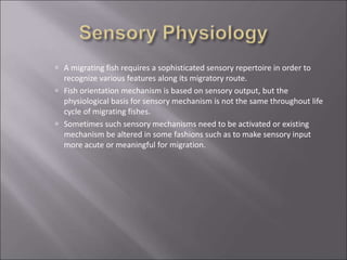  A migrating fish requires a sophisticated sensory repertoire in order to
recognize various features along its migratory route.
 Fish orientation mechanism is based on sensory output, but the
physiological basis for sensory mechanism is not the same throughout life
cycle of migrating fishes.
 Sometimes such sensory mechanisms need to be activated or existing
mechanism be altered in some fashions such as to make sensory input
more acute or meaningful for migration.
 