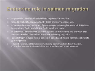  Migration in salmon is closely related to gonadal maturation.
 Gonadal maturation is regulated by brain-pitutuary-gonadal axis.
 In salmon there are two types of gonadotropin releasing hormone (GnRH) those
being salmon GnRH and chicken GnRH in salmon brain.
 In particular salmon GnRH, olfactory system, terminal nerve and pre optic area
are considered to play an important role in homing migration
 gonadotropin induces steroid genesis in gonads and steroid hormones stimulate
gametogenesis
 Thyroid Hormone (T4) increases swimming activity and lipid mobilization.
Cortisol stimulates lipid metabolism and stimulates salt water tolerance
 