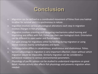  Migration can be defined as a coordinated movement of fishes from one habitat
to other for survival and it is synchronous in nature
 migration involves various physiological alterations each step in migration
involves changes in fish physiology.
 Migration involves orienting and navigating mechanisms called homing and
imprinting and differs with fish. Fishes use their own biological clock. Orientation
can be different in open water and fluvial waters.
 Fish gain energy for migrations either by feeding during migration or using
stored reserves mainly carbohydrates and lipids.
 Osmoregulation differs in catadromous, anadromous and diadromous fishes.
 Sensory physiology in migration is very important olfaction; vision without which
migration would be impossible. Similarly migration can be considered a
behavioral response to various environmental parameters.
 Physiology of pacific salmon can be studied to understand migrations on great
detail. Human activity also affects fish physiology and prevents migration when
needed.
 