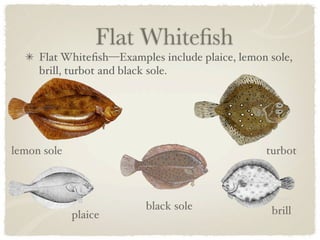 Flat Whiteﬁsh
     Flat Whiteﬁsh—Examples include plaice, lemon sole,
     brill, turbot and black sole. 




lemon sole                                       turbot



                          black sole              brill
             plaice
 
