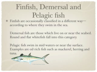 Finﬁsh, Demersal and
         Pelagic ﬁsh
Finﬁsh are occasionally classiﬁed in a diﬀerent way—
according to where they swim in the sea.

Demersal ﬁsh are those which live on or near the seabed.
Round and ﬂat whiteﬁsh fall into this category.

Pelagic ﬁsh swim in mid-waters or near the surface.
Examples are oil-rich ﬁsh such as mackerel, herring and
tuna.
 
