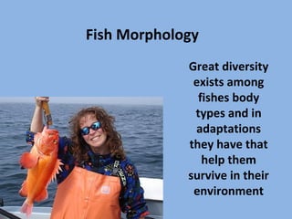 Fish Morphology
Great diversity
exists among
fishes body
types and in
adaptations
they have that
help them
survive in their
environment
 