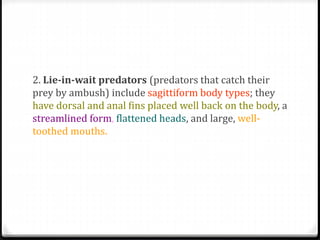2. Lie-in-wait predators (predators that catch their
prey by ambush) include sagittiform body types; they
have dorsal and anal fins placed well back on the body, a
streamlined form, flattened heads, and large, well-
toothed mouths.
 