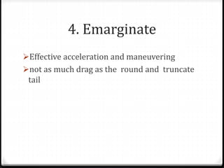 4. Emarginate
Effective acceleration and maneuvering
not as much drag as the round and truncate
tail
 
