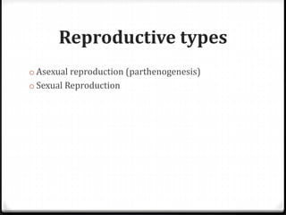 Reproductive types
o Asexual reproduction (parthenogenesis)
o Sexual Reproduction
 