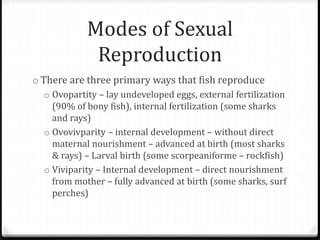 Modes of Sexual
Reproduction
o There are three primary ways that fish reproduce
o Ovopartity – lay undeveloped eggs, external fertilization
(90% of bony fish), internal fertilization (some sharks
and rays)
o Ovovivparity – internal development – without direct
maternal nourishment – advanced at birth (most sharks
& rays) – Larval birth (some scorpeaniforme – rockfish)
o Viviparity – Internal development – direct nourishment
from mother – fully advanced at birth (some sharks, surf
perches)
 