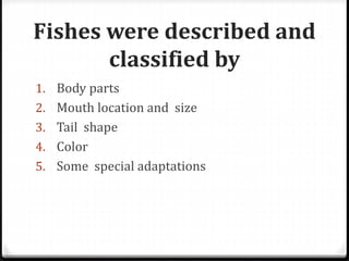 Fishes were described and
classified by
1. Body parts
2. Mouth location and size
3. Tail shape
4. Color
5. Some special adaptations
 