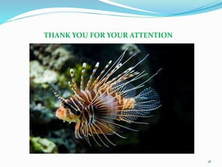 THANK YOU FOR YOUR ATTENTION
18
 