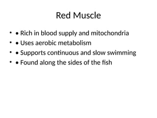 Comprehensive Overview of Fish Muscle Physiology and Adaptations for ...