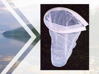 Fish Net Reference FishNet | PPTX