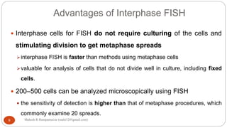 Normal Interphase Fish Fish n gish | PDF