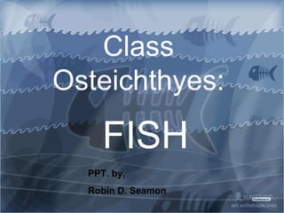 Class Osteichthyes: FISH PPT. by,  Robin D. Seamon 