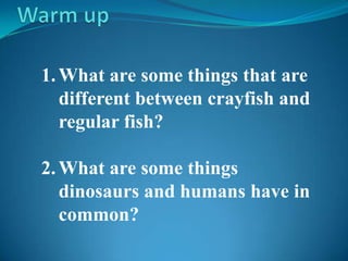 Warm up What are some things that are different between crayfish and regular fish? What are some things dinosaurs and humans have in common? 