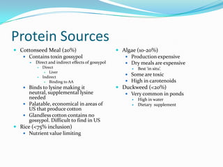 Protein Sources
 Cottonseed Meal (20%)
 Contains toxin gossypol
 Direct and indirect effects of gossypol
 Direct
 Liver
 Indirect
 Binding to AA
 Binds to lysine making it
neutral, supplemental lysine
needed
 Palatable, economical in areas of
US that produce cotton
 Glandless cotton contains no
gossypol. Difficult to find in US
 Rice (<75% inclusion)
 Nutrient value limiting
 Algae (10-20%)
 Production expensive
 Dry meals are expensive
 Best ‘in situ’.
 Some are toxic
 High in carotenoids
 Duckweed (<20%)
 Very common in ponds
 High in water
 Dietary supplement
 