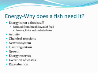 Energy-Why does a fish need it?
 Energy is not a food stuff
 Formed from breakdown of feed
 Protein, lipids and carbohydrates
 Activity
 Chemical reactions
 Nervous system
 Osmoregulation
 Growth
 Energy reserves
 Excretion of wastes
 Reproduction
 