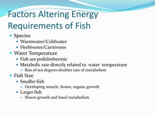 Factors Altering Energy
Requirements of Fish
 Species
 Warmwater/Coldwater
 Herbivores/Carnivores
 Water Temperature
 Fish are poikilothermic
 Metabolic rate directly related to water temperature
 Rise of ten degrees doubles rate of metabolism
 Fish Size
 Smaller fish
 Developing muscle, bones, organs, growth
 Larger fish
 Slower growth and basal metabolism
 