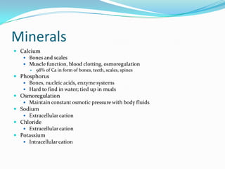 Minerals
 Calcium
 Bones and scales
 Muscle function, blood clotting, osmoregulation
 98% of Ca in form of bones, teeth, scales, spines
 Phosphorus
 Bones, nucleic acids, enzyme systems
 Hard to find in water; tied up in muds
 Osmoregulation
 Maintain constant osmotic pressure with body fluids
 Sodium
 Extracellular cation
 Chloride
 Extracellular cation
 Potassium
 Intracellular cation
 