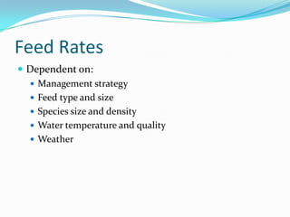Feed Rates
 Dependent on:
 Management strategy
 Feed type and size
 Species size and density
 Water temperature and quality
 Weather
 