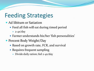 Feeding Strategies
 Ad libitum or Satiation
 Feed all fish will eat during timed period
 2-4x/day
 Farmer understands his/her ‘fish personalities’
 Percent Body Weight/Day
 Based on growth rate, FCR, and survival
 Requires frequent sampling
 Divide daily ration; fed 2-4x/day
 