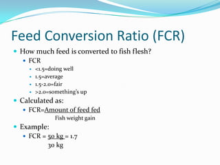 Feed Conversion Ratio (FCR)
 How much feed is converted to fish flesh?
 FCR
 <1.5=doing well
 1.5=average
 1.5-2.0=fair
 >2.0=something’s up
 Calculated as:
 FCR=Amount of feed fed
Fish weight gain
 Example:
 FCR = 50 kg = 1.7
30 kg
 
