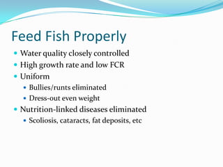 Feed Fish Properly
 Water quality closely controlled
 High growth rate and low FCR
 Uniform
 Bullies/runts eliminated
 Dress-out even weight
 Nutrition-linked diseases eliminated
 Scoliosis, cataracts, fat deposits, etc
 